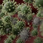 新型コロナウイルスの特徴や性質とは？正しい感染経路と予防方法！